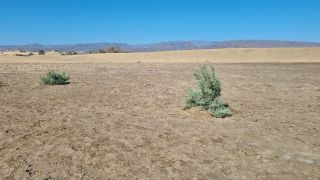 2023-GC--Mapalomas dunas-S123-168.jpg